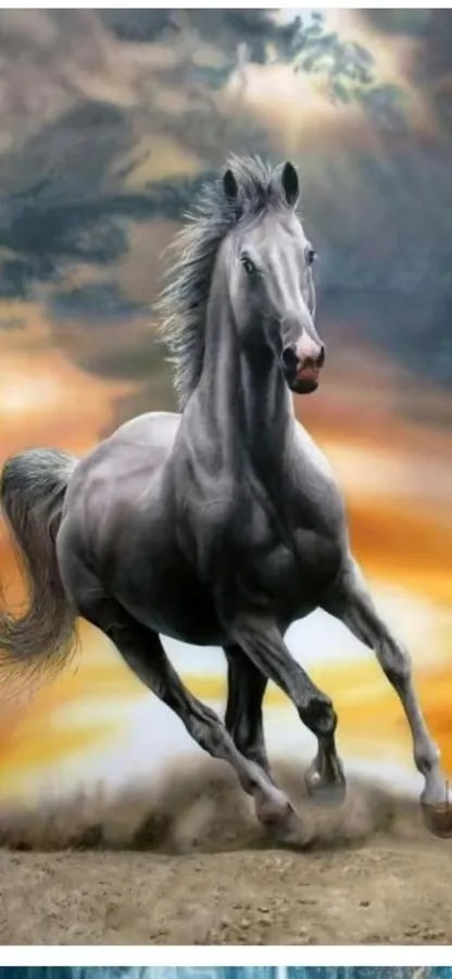 Cuadro Decorativo Vertical 3D Caballo Negro al Galope
