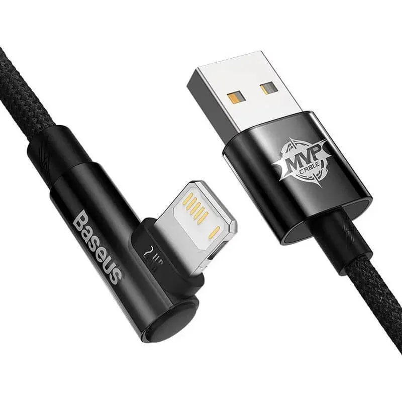 Cable iPhone x USB lightning 1M