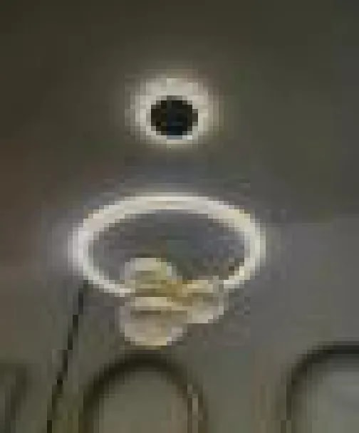Lámpara de Techo LED Moderna Anillo con Centro Dorado